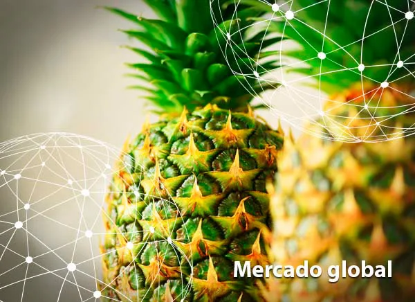 Resumen del mercado global de la piña