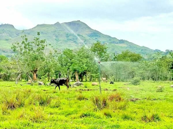 Ecuador: Proyecto de riego parcelario beneficiará a 286 familias de Loja