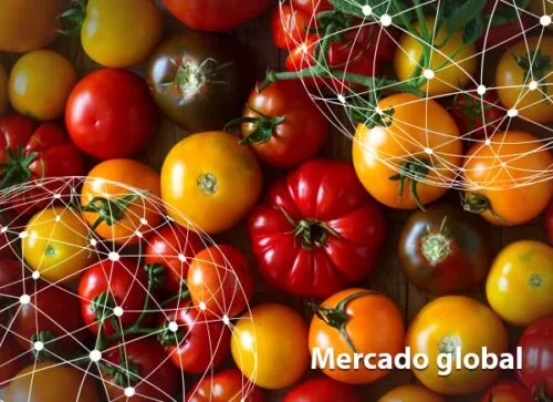 Resumen del mercado global del tomate