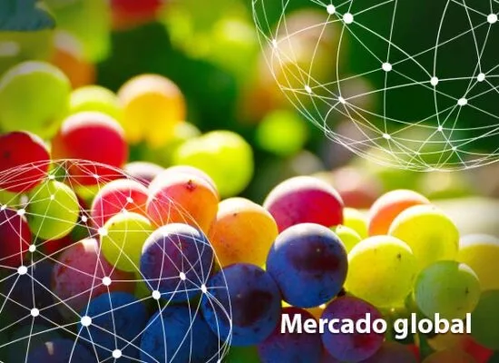 Resumen del mercado global de la uva