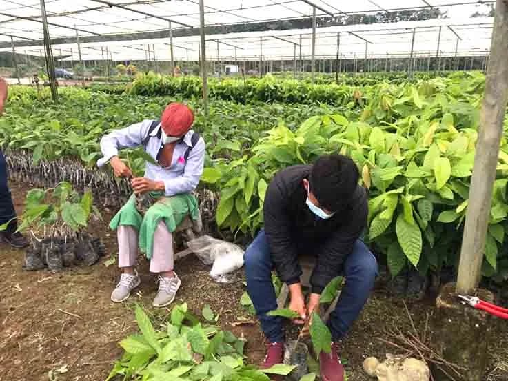 Los pequeños agricultores de América Latina enfrentan severas limitaciones de acceso a la tecnología y los créditos
