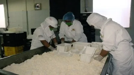 En Venezuela: Lácteos Los Andes incrementa producción de queso de cabra