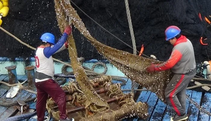 Atuneros ecuatorianos, pioneros globales en pesca con materiales orgánicos