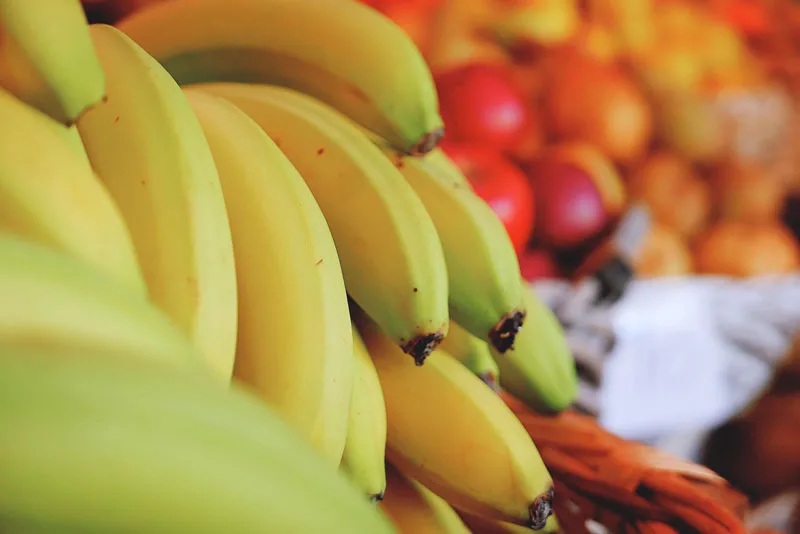 El Ministro de Comercio Exterior de Perú anuncia que reimpulsará la exportación del banano orgánico de Piura