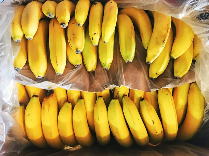 Búsqueda de Ecuador para ingresar banano en mercados asiáticos preocupa a productores filipinos