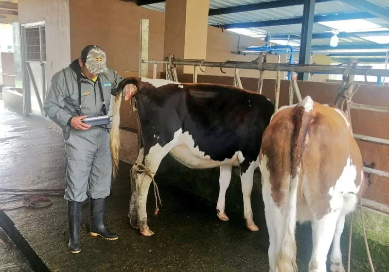 Ecuador: Jóvenes en Loja se capacitan en reproducción animal