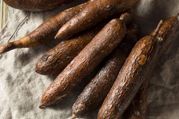 2021 fue un buen año para la exportación de yuca y malanga ecuatoriana
