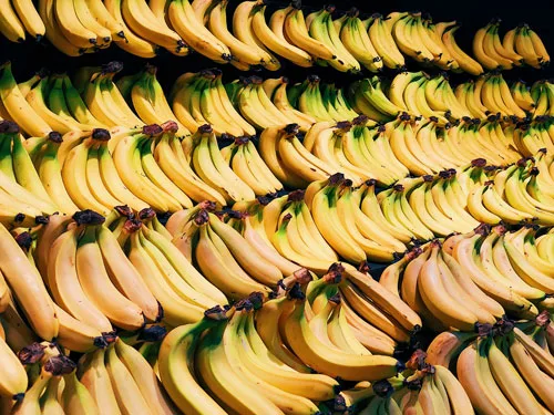 El precio de la banana panameña subió un 30% en una semana en el Reino Unido