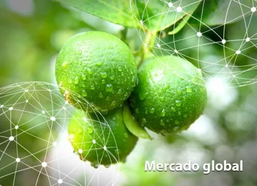 Resumen del mercado global de la lima