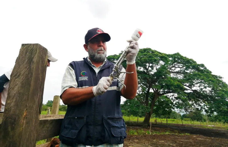 Ecuador: En Guayas más de 8.000 animales serán vacunados durante la interfase contra la Fiebre Aftosa