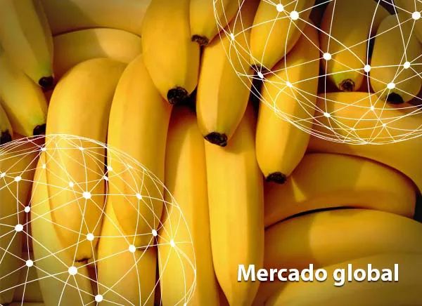Resumen del mercado global de la banana