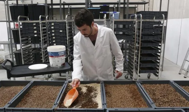 La FAO valora los insectos y las medusas para garantizar la seguridad alimentaria mundial