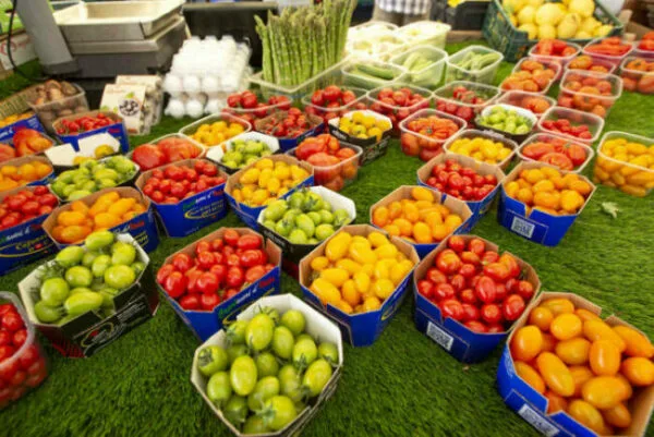 Mayor expectativa en productores italianos con ley agraria orgánica