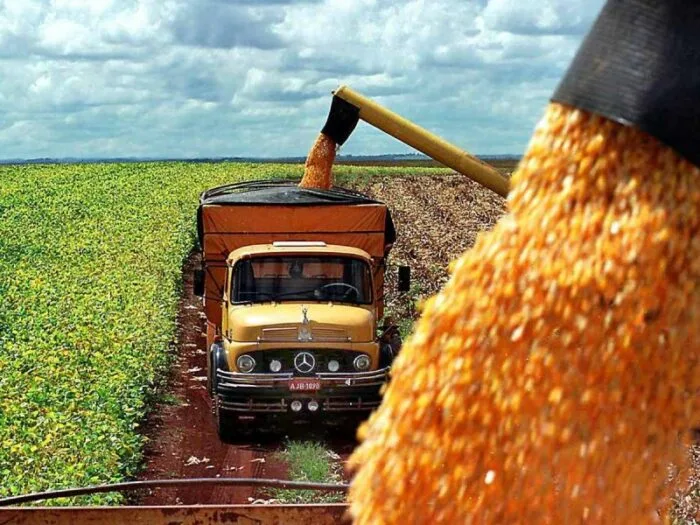 Temen crisis alimentaria mundial por guerra entre Rusia y Ucrania