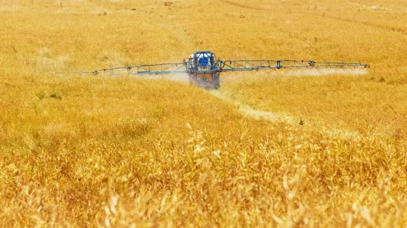 Nueva herramienta de investigadores para ayudar a desarrollar pesticidas más seguros