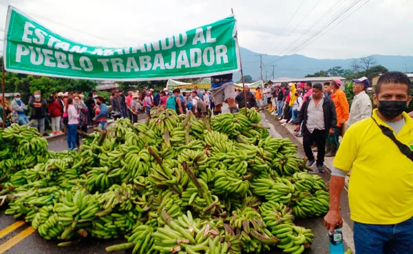 Ministro de Agricultura incumple reunión con bananeros, empiezan las manifestaciones