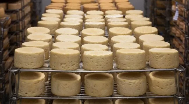 EE.UU. y Argentina impulsan el crecimiento del mercado mundial del queso
