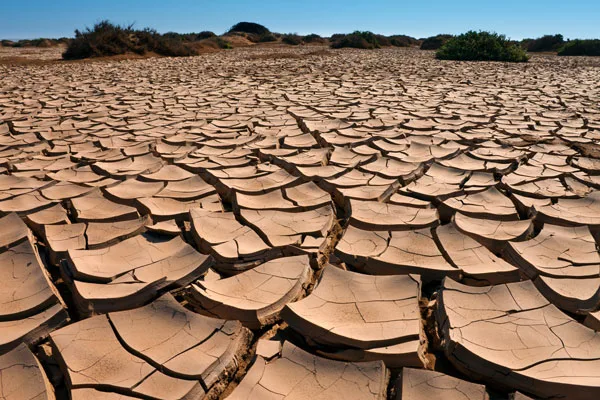 La solución de Marruecos a la sequía está en el océano. ¿Podrían otros países de África seguir su ejemplo?