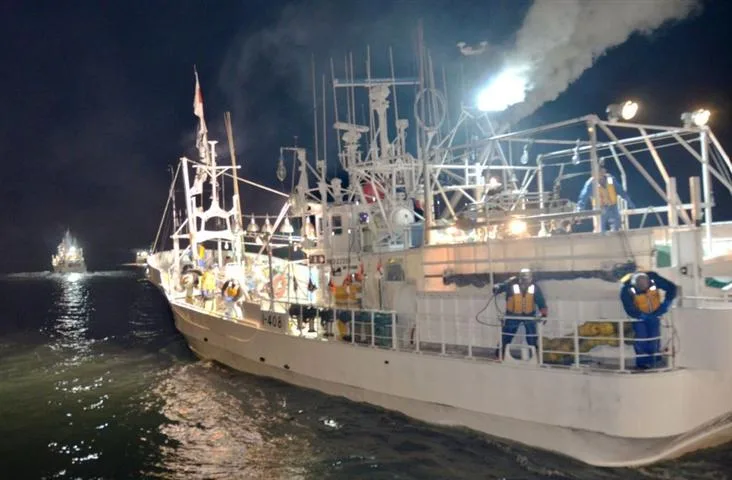 Rusia y Japón negocian sobre pesca de salmón y trucha