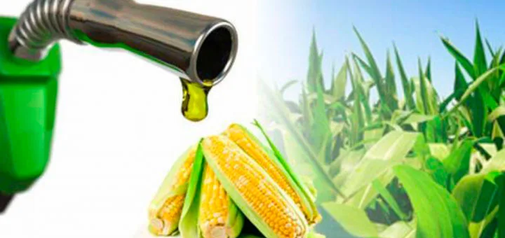 Argentina: Autorizan un incremento de casi 30% en los precios del bioetanol