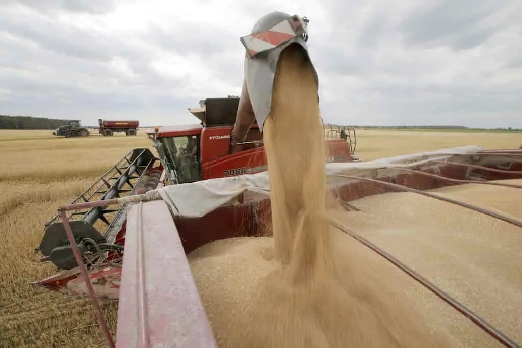 La FAO busca sostener a los agricultores de ucrania