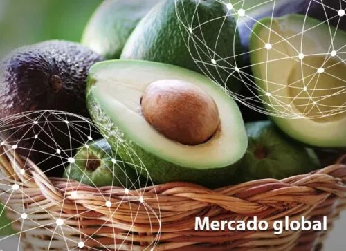 Resumen del mercado global del aguacate