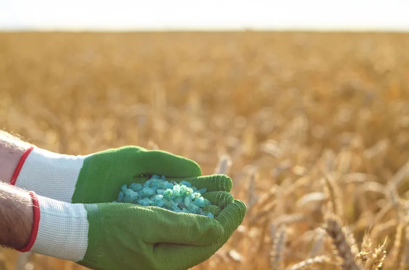 ESPAÑA: El Gobierno presentará el próximo lunes un nuevo plan de fertilizantes