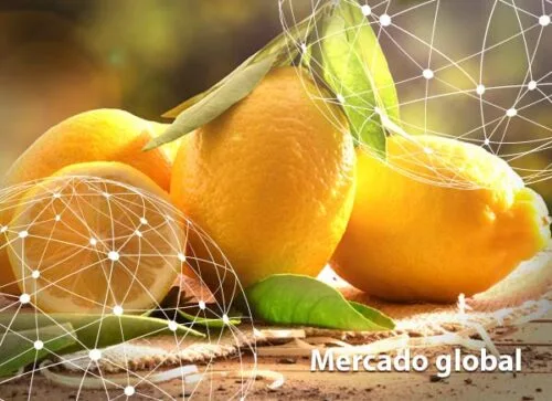 Resumen del mercado global del limón