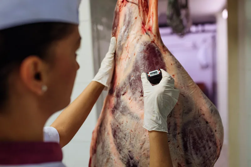 Exportaciones de carne y productos lácteos colombianos arrancaron este año con buen pie