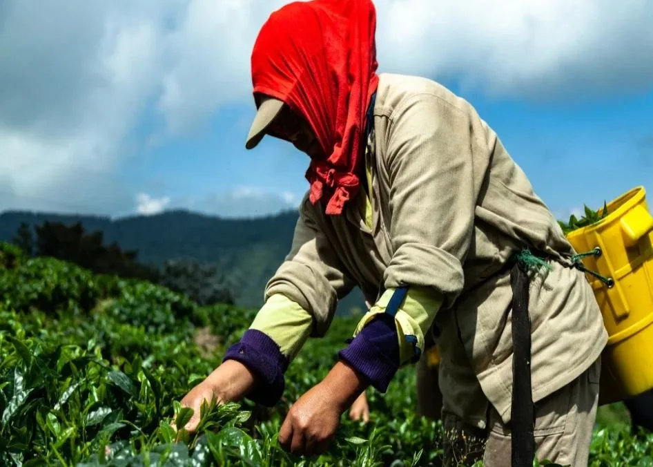 Orbia, un marketplace que busca conectar a los agricultores con mercado de insumos