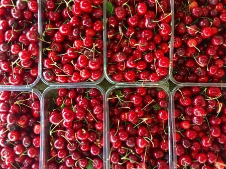 Chile continúa siendo el mayor exportador de cerezas impulsado por las ventas a China