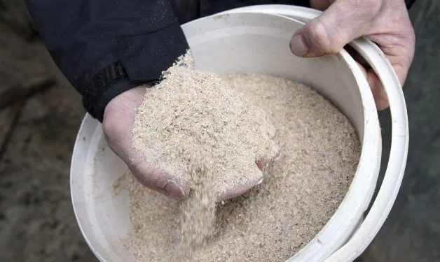 España: Ganadería e industria cereal, de las más afectadas por inflación