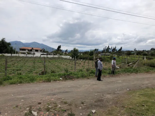 Ecuador: Superficie de labor agropecuaria se reduce en Tungurahua