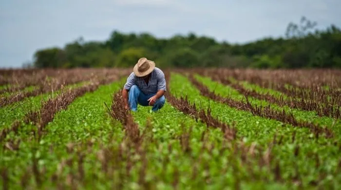 ECUADOR: Fortalecimiento de la productividad agrícola en Galápagos a través del levantamiento catastral