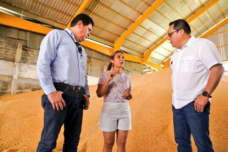 Ecuador: Empiezan los operativos para frenar especulación del precio del maíz