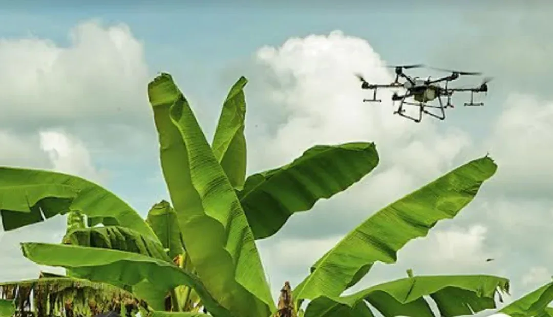Colombia: Fedearroz y Drone Innovation apuestan al crecimiento del sector con uso de drones