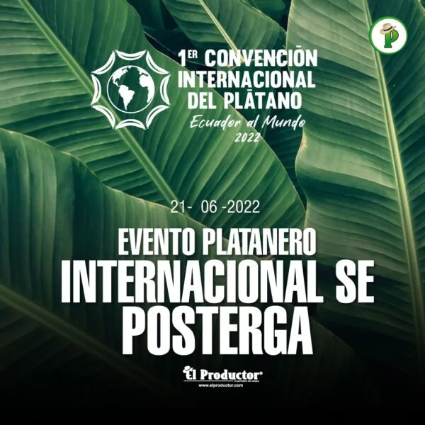 Evento Platanero Internacional se Posterga