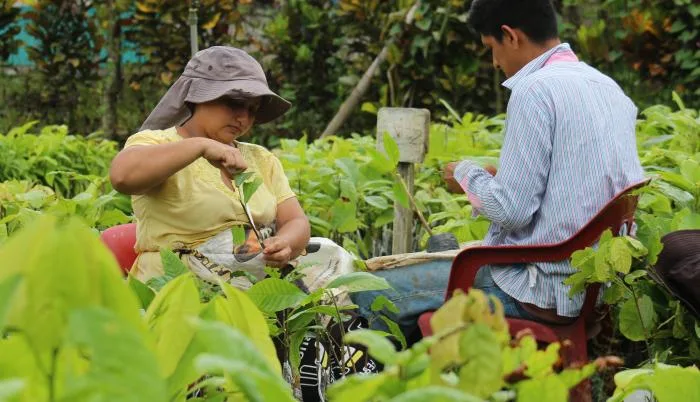 Ecuador: El Gobierno analiza focalizar el subsidio a los combustibles a sectores agrícolas como una salida a las protestas