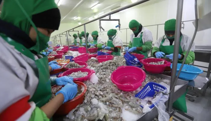 Ecuador: Santa Priscila y Ecuacorriente, en el ‘top’ 10 de mayores ventas