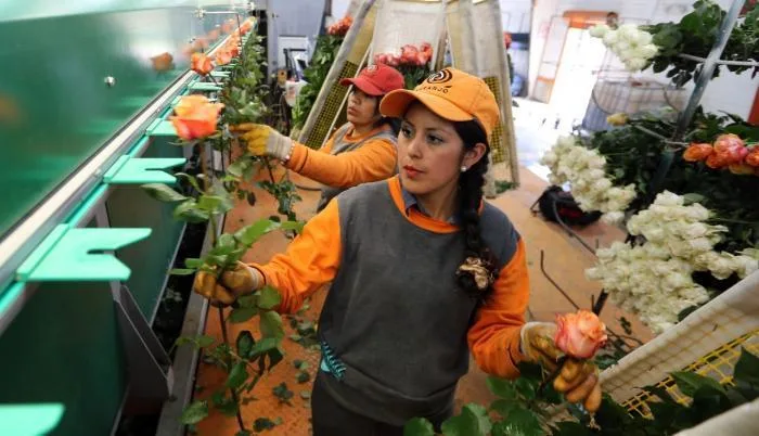 Ecuador: Sectores económicos manifiestan su preocupación por el paro de este 13 de junio