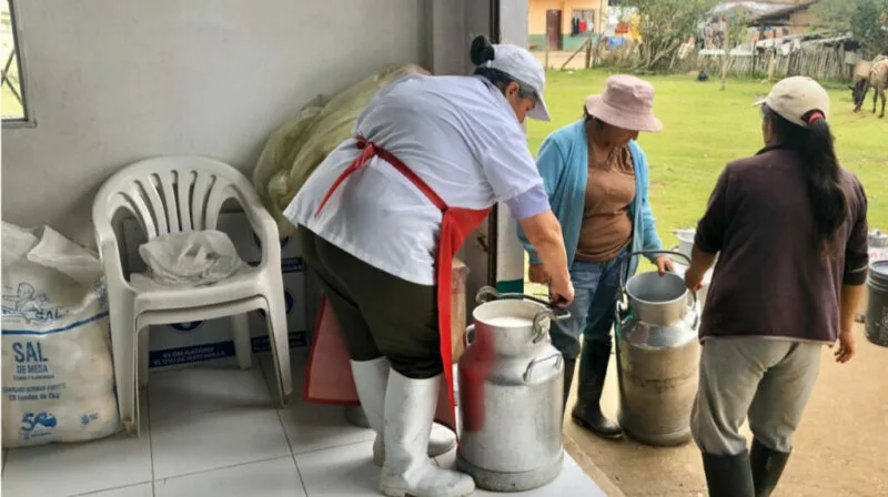 ECUADOR: Industria Láctea fortalece estrategias para combatir la informalidad