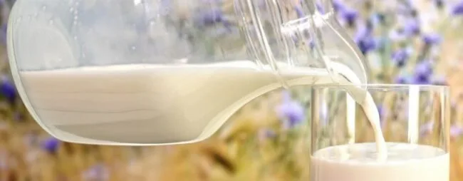 Argentina: Obtienen leche caprina pasteurizada y fortificada con hierro