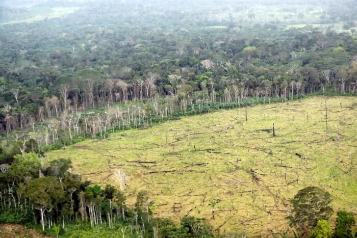 La Cumbre de las Américas apunta al reto de un Futuro sostenible