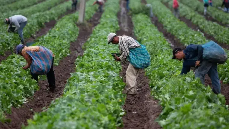 APCSA hace un llamado a la paz y al diálogo para continuar trabajando por el agro