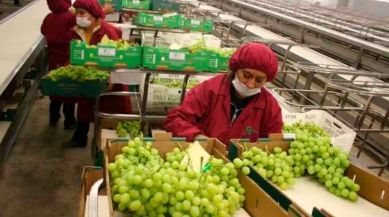 Agroexportaciones peruanas sumaron más de US$ 3 mil millones entre enero-abril de este año