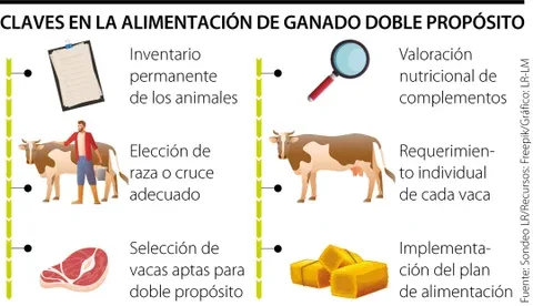LA ALIMENTACIÓN DOBLE PROPÓSITO, TODO UN RETO TÉCNICO Y PRESUPUESTAL