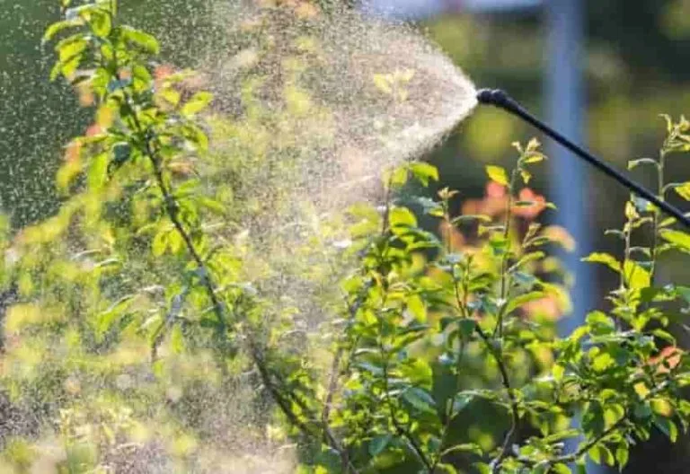 Francia prohíbe el uso de pesticidas en más lugares, incluidas residencias privadas