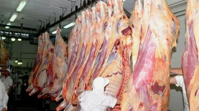 Paraguay está más cerca de empezar a exportar carne a Estados Unidos
