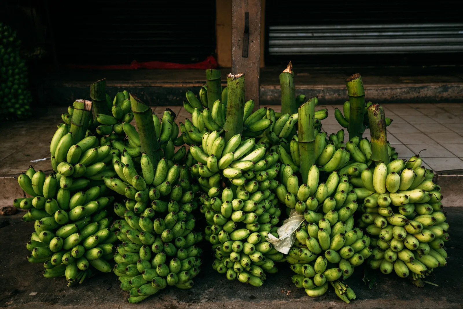 Las exportaciones de banano de la India se han multiplicado por ocho en los últimos nueve años