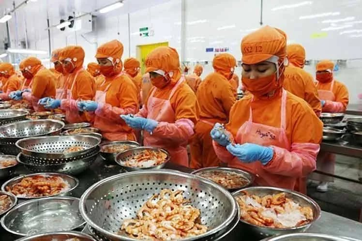 Exportaciones acuícolas de Vietnam aumentaron 40 por ciento